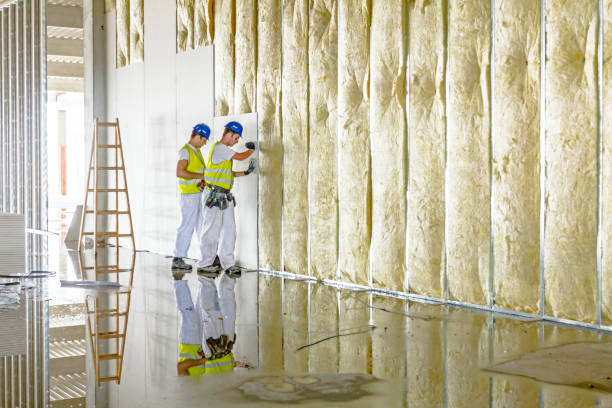 Professional Insulation in Crooked Lake Park, FL